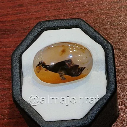 Pictorial Agate - Shajri Aqeeq - Natural Yemeni Shajri Aqeeq