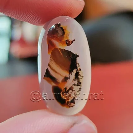 Pictorial Agate - Shajri Aqeeq - Natural Yemeni Shajri Aqeeq