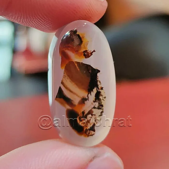 Pictorial Agate - Shajri Aqeeq - Natural Yemeni Shajri Aqeeq