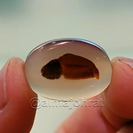 Pictorial Agate - Shajri Aqeeq - Natural Yemeni Shajri Aqeeq