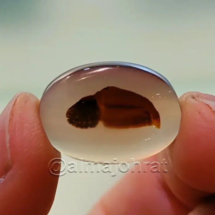 Pictorial Agate - Shajri Aqeeq - Natural Yemeni Shajri Aqeeq