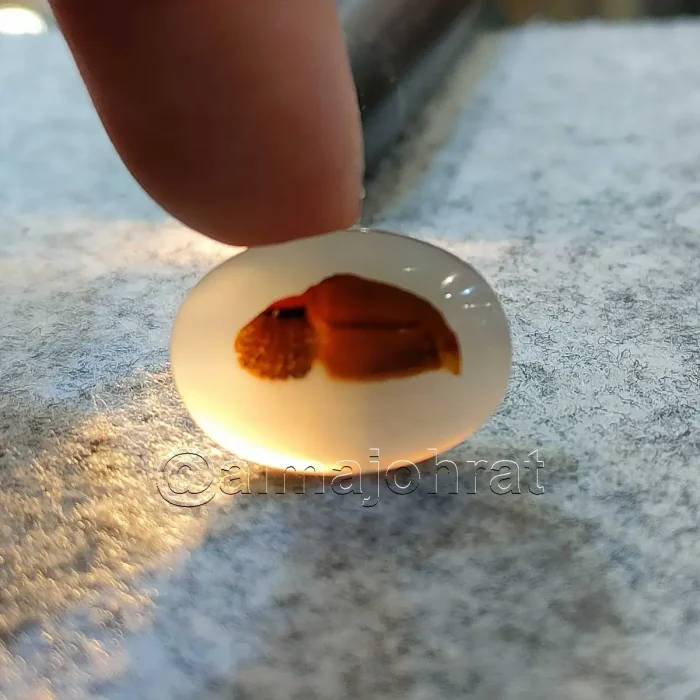 Pictorial Agate - Shajri Aqeeq - Natural Yemeni Shajri Aqeeq