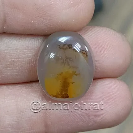 Pictorial Agate - Shajri Aqeeq - Natural Yemeni Shajri Aqeeq