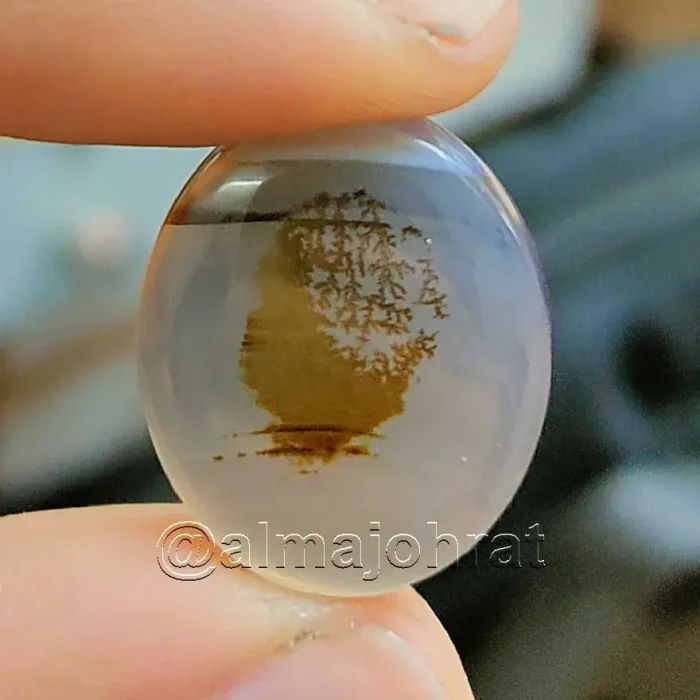 Pictorial Agate - Shajri Aqeeq - Natural Yemeni Shajri Aqeeq