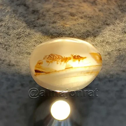 Pictorial Agate - Shajri Aqeeq - Natural Yemeni Shajri Aqeeq