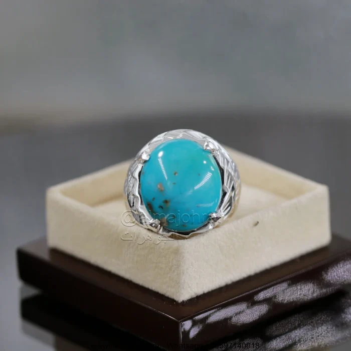 Natural Turquoise Ring - Shajri Feroza Pure Silver Ring - Firoza - Image 4