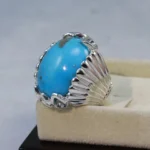 Natural Turquoise Ring - Shajri Feroza Pure Silver Ring - Firoza