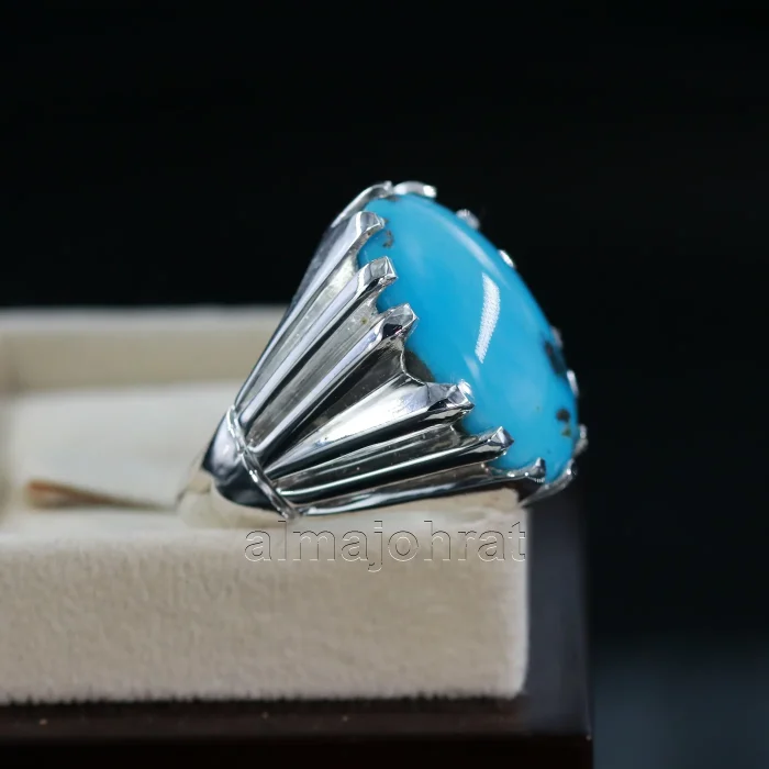Natural Turquoise Ring - Shajri Feroza Pure Silver Ring - Firoza - Image 5