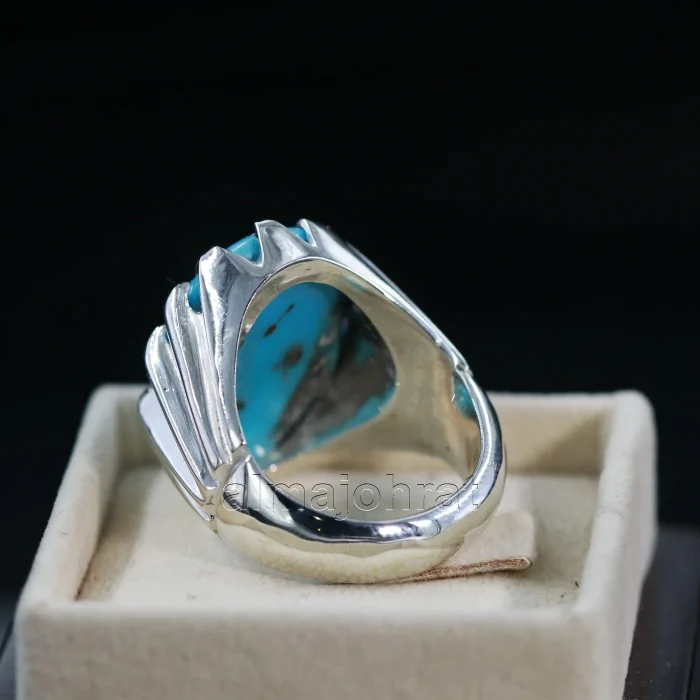 Natural Turquoise Ring - Shajri Feroza Pure Silver Ring - Firoza - Image 4