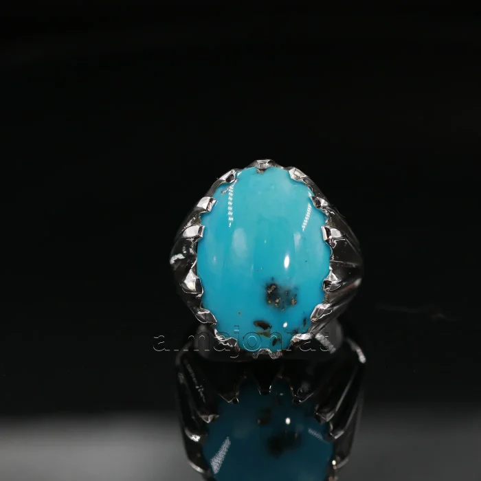Natural Turquoise Ring - Shajri Feroza Pure Silver Ring - Firoza - Image 2
